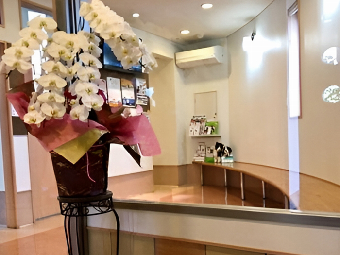 城島動物病院の院内風景