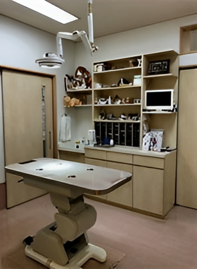 城島動物病院の院内風景