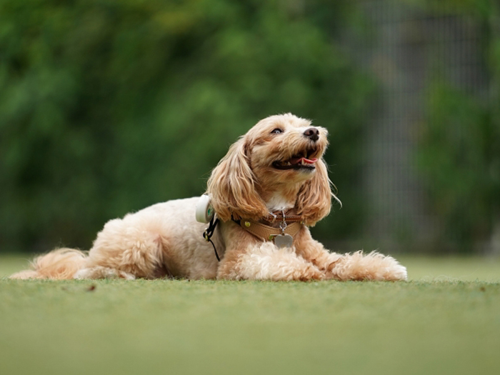 その他のご案内